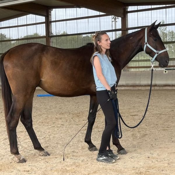 Kiko und Sara Training zugeschnitten